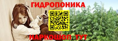 spice Гусь-Хрустальный